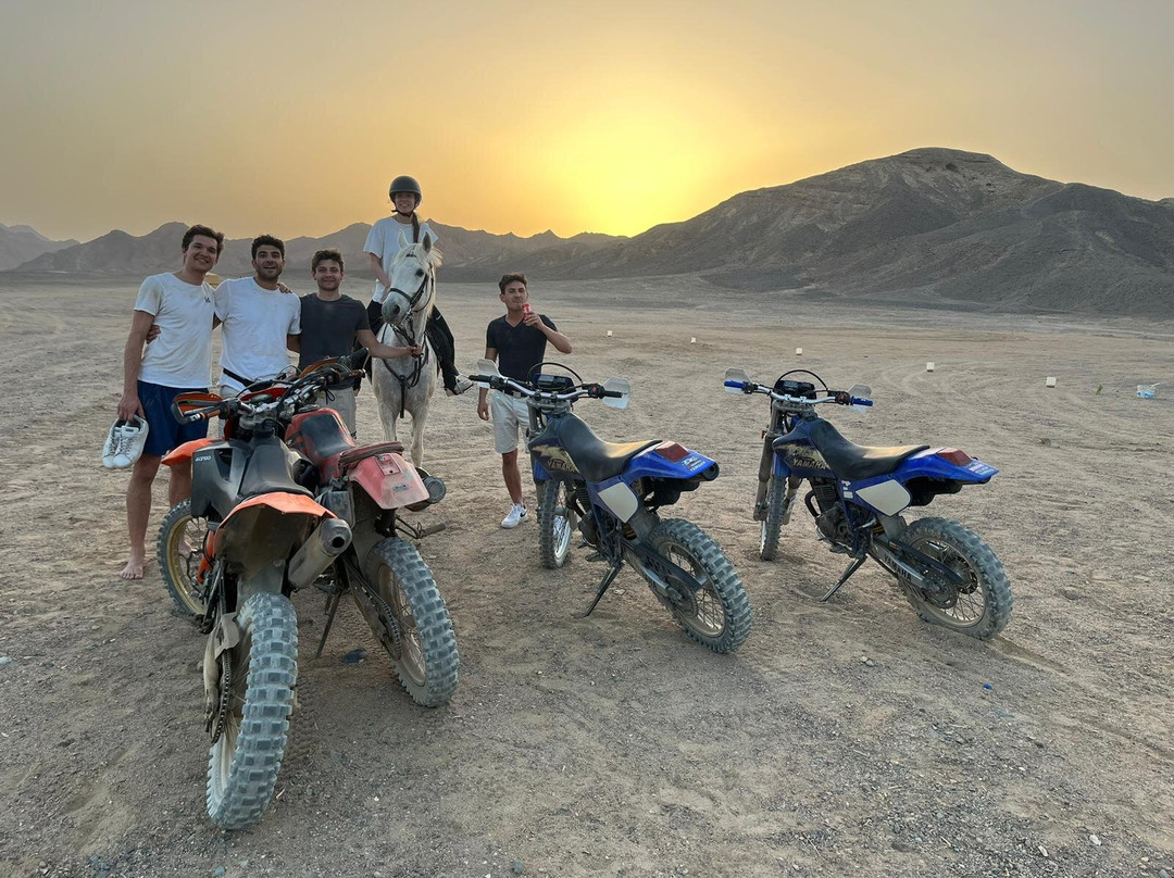 Equestrian Dream Egypt-赫尔格达必去景点