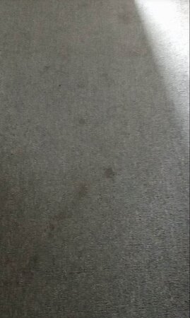 Wingham Motel-官方