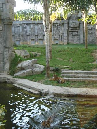 Bioparc Fuengirola-福恩吉罗拉必去景点
