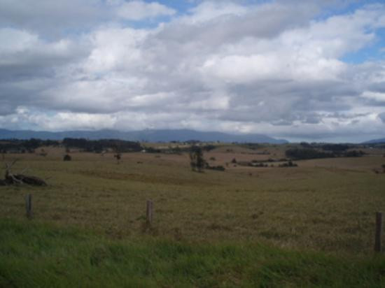 Bandicoot Bicycle Tours-Holloways Beach必去景点