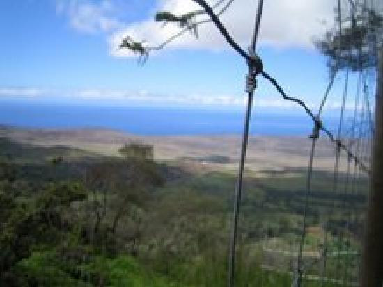 门罗小径-拉奈市必去景点