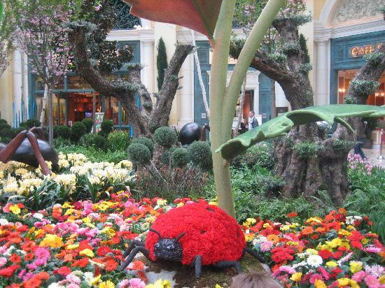 贝拉吉欧温室植物园-拉斯维加斯必去景点