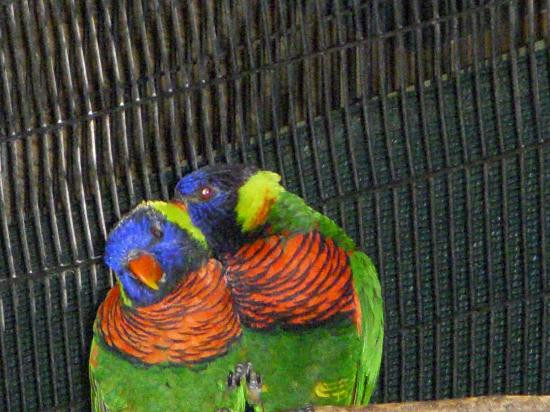 Jacksonville Zoo & Gardens-杰克逊维尔必去景点