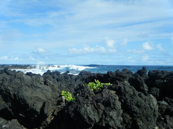 Valley Isle Excursions-怀露库必去景点