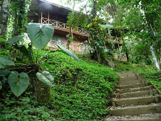 Rios Tropicales景点图片
