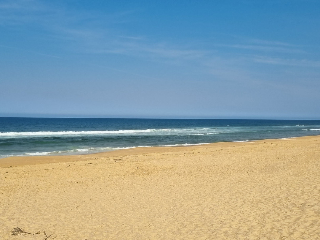 Eastern Beach景点图片