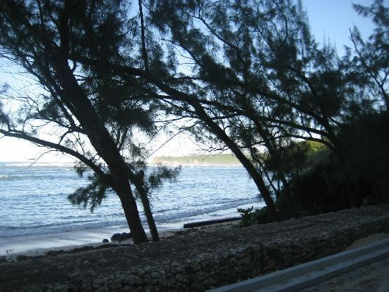 Ocean Echo Stables-Saint John Parish必去景点