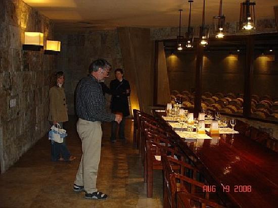 Ampora Wine Tours-门多萨必去景点