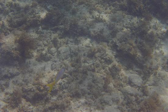 Playa La Chiva-Puerto Ferro必去景点