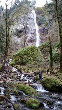 Starvation Creek Ridge Loop-Cascade Locks必去景点