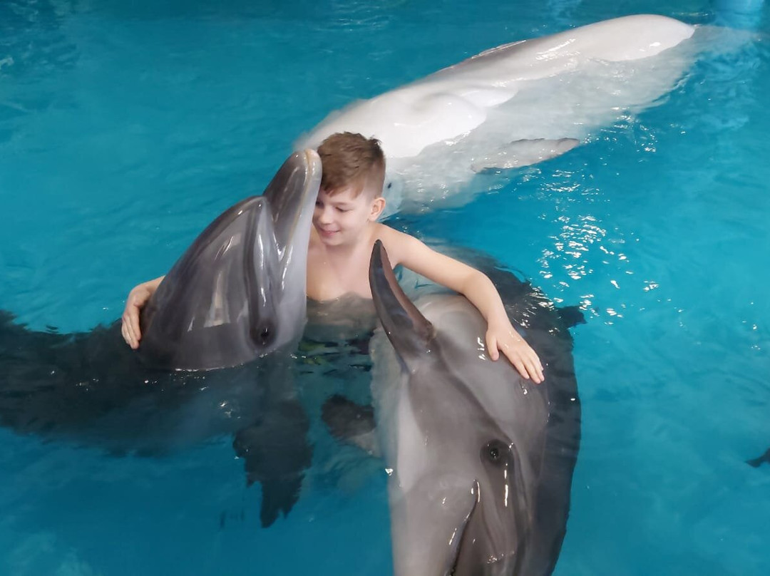 Morskaya Zvezda Dolphinarium景点图片