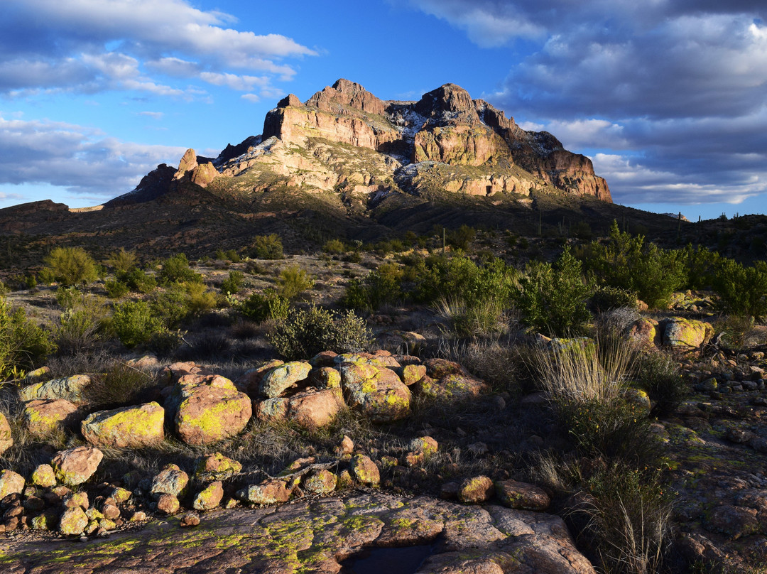 2024年3月Picket Post Antiques景点攻略Picket Post Antiques门票预订地址图片Picket Post Antiques景点点评猫途鹰