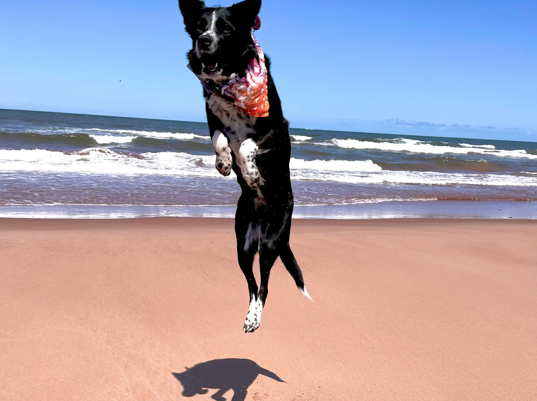 North Lake Beach Motel主图