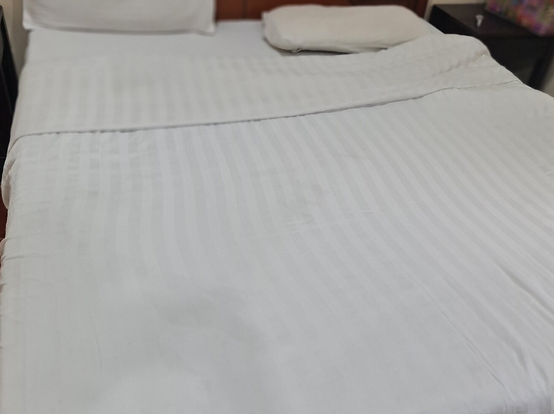 The Colonial Manek Manor主图