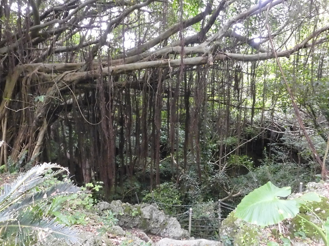 Todoroki Trench-糸满市必去景点