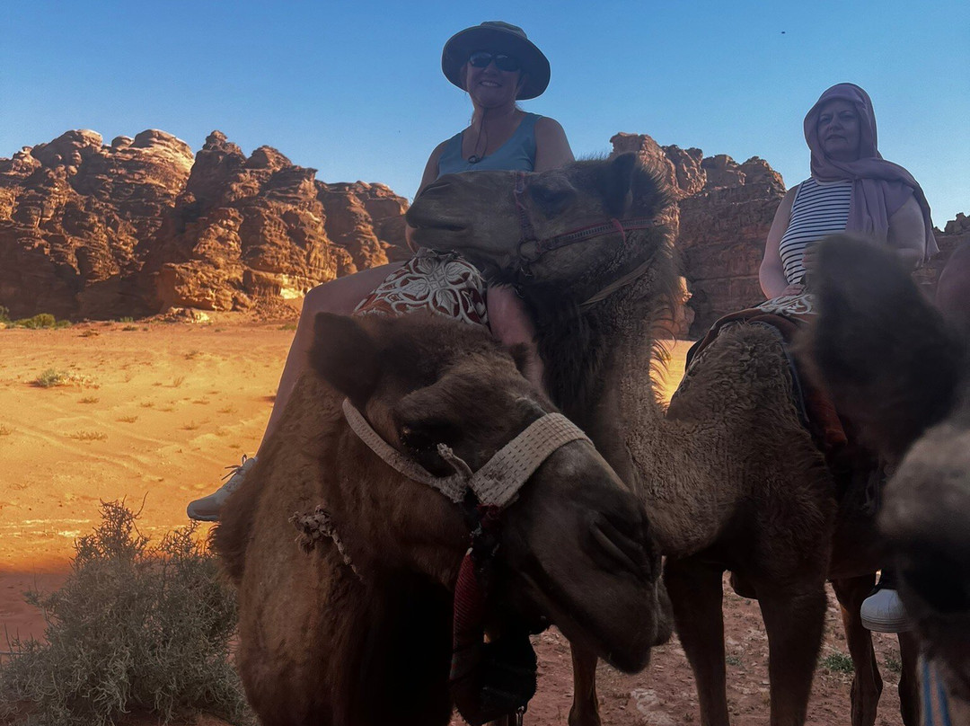 Kenes Tours-特拉维夫必去景点