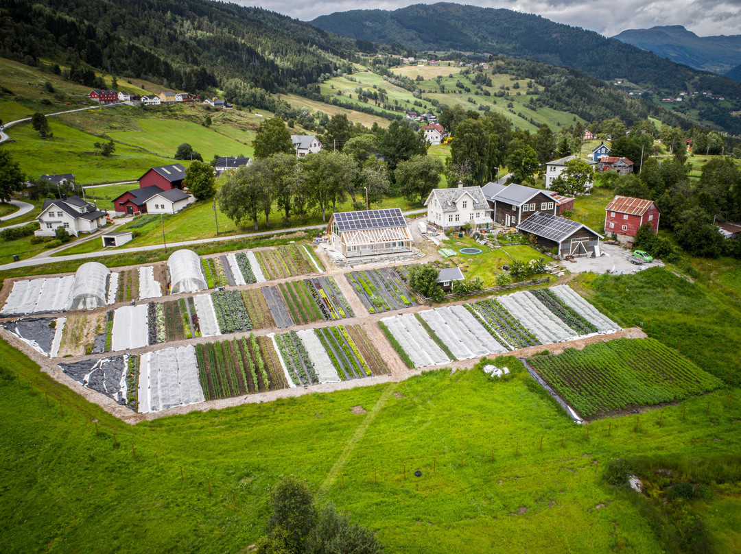 Marifjora旅游攻略图片