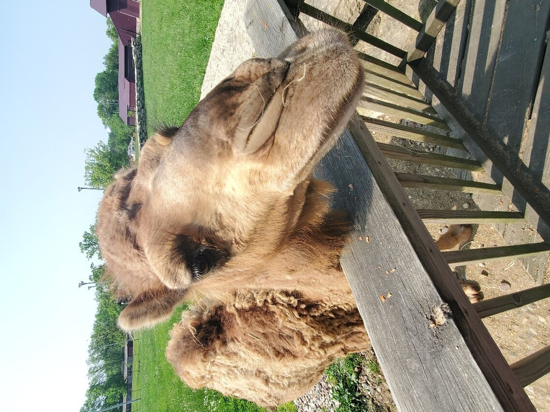 Timbavati Wildlife Park-威斯康星峡谷必去景点