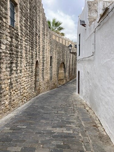 Arco de la Segur景点图片