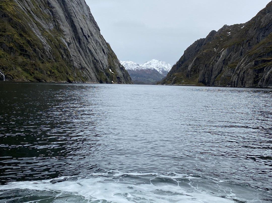 Trollfjord Cruise & Sea Eagle Safari景点图片