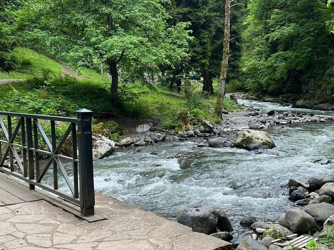 Borjomi Sulfur Pools景点图片