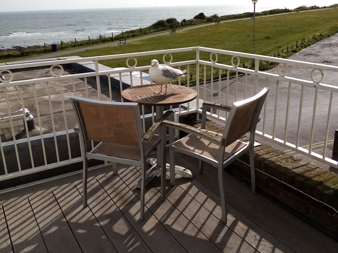 Botany Bay Hotel主图