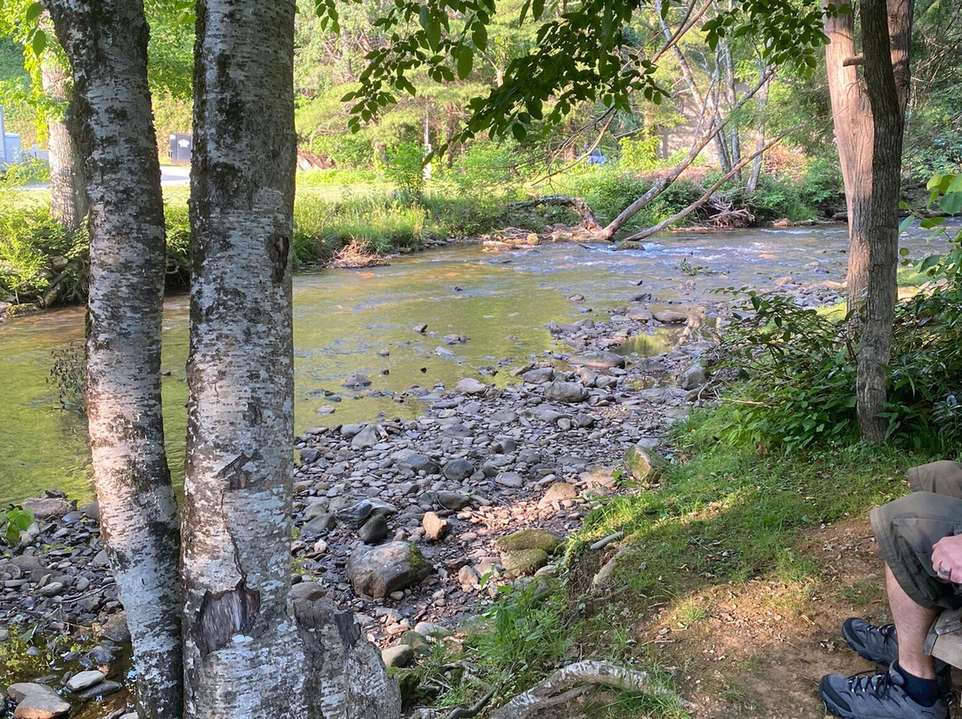 Meadowlark Motel with Restaurant & Bar主图