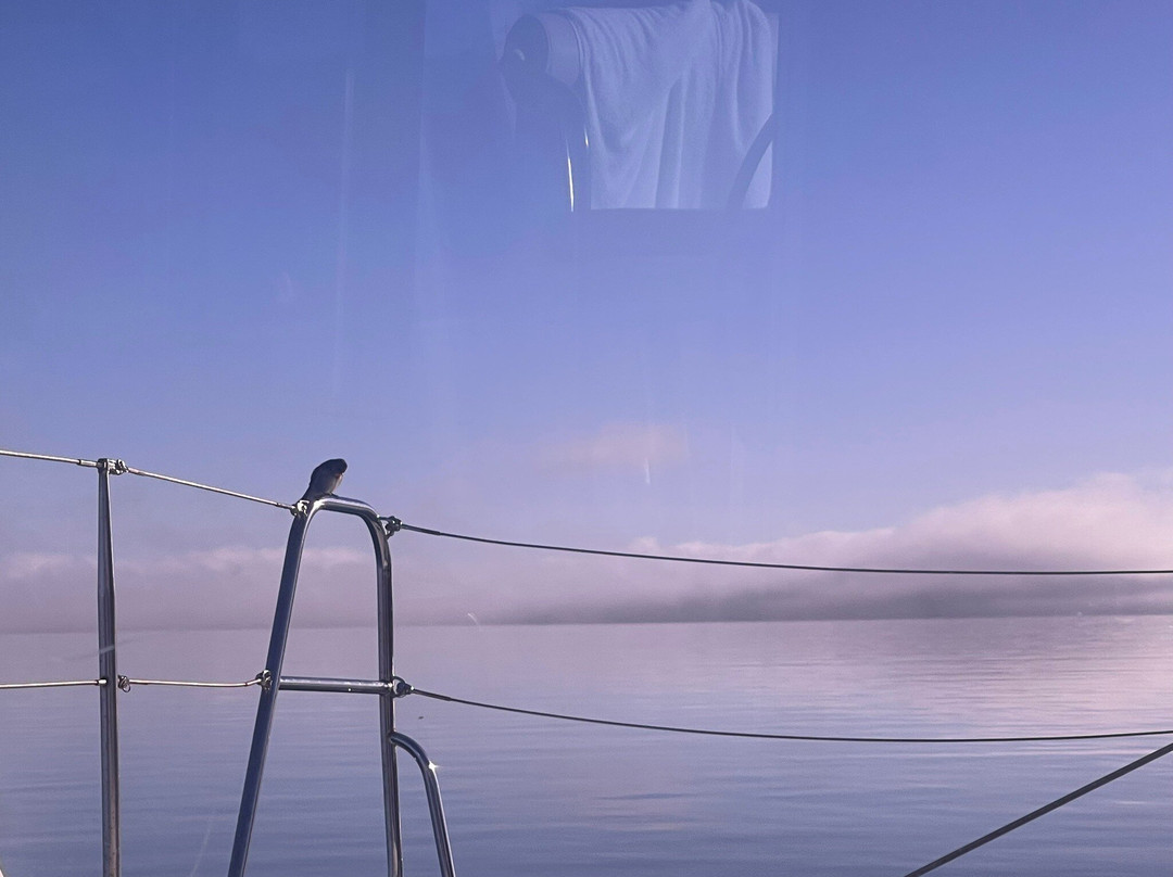 Fraser Island Boat Charters-赫维湾必去景点