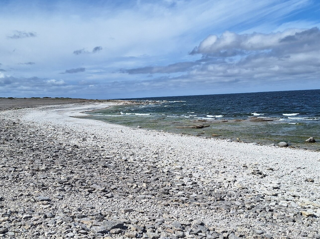 Langhammars Sea Stack Field-Faro必去景点