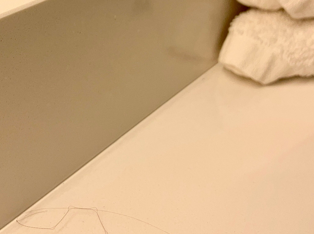 威廉姆斯波特快捷假日&套房酒店主图