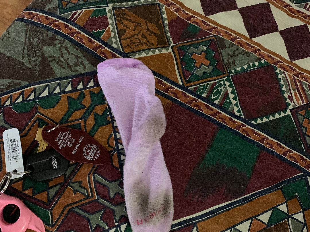 Talbot Arm Motel主图