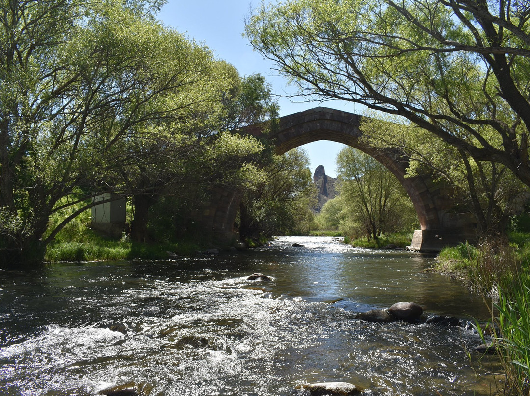 Dadali Bridge景点图片