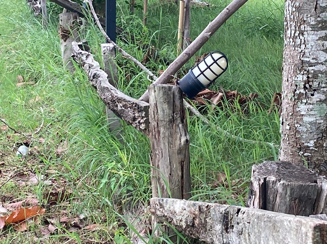 Phrathat Yakhu-加拉信必去景点