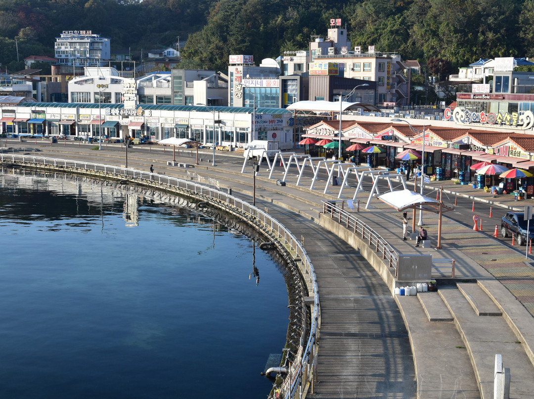 Daepo Port-束草市必去景点