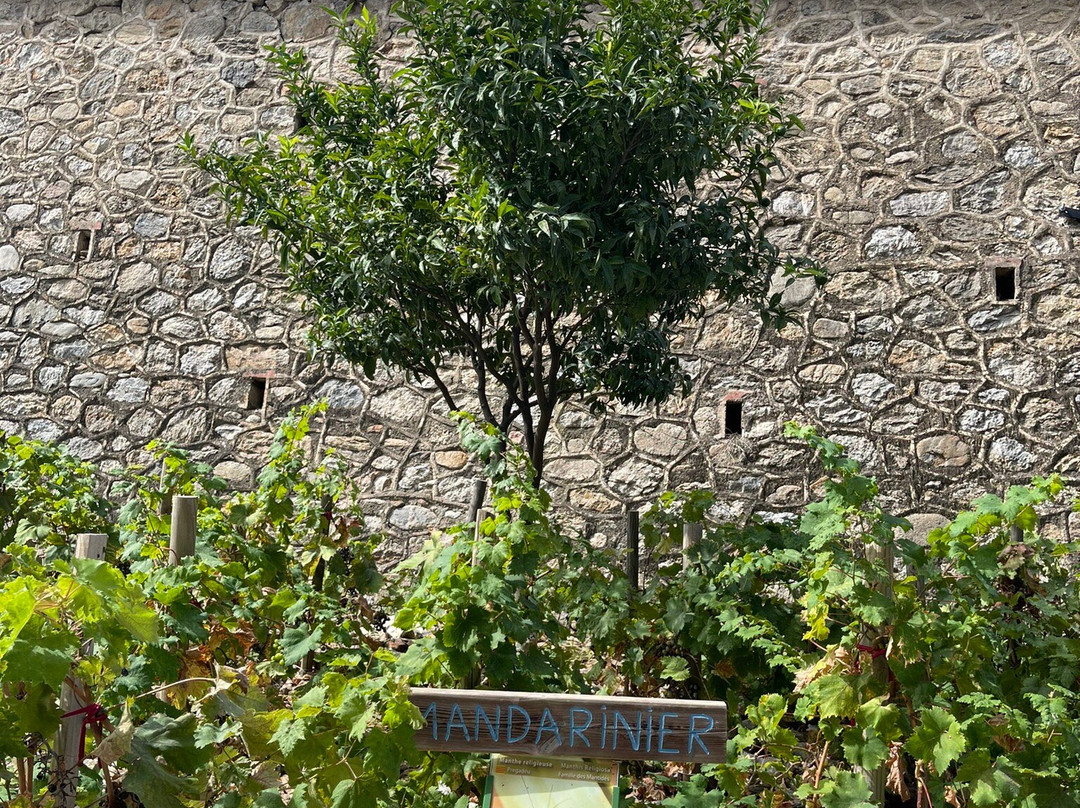 Parc de Valmy景点图片