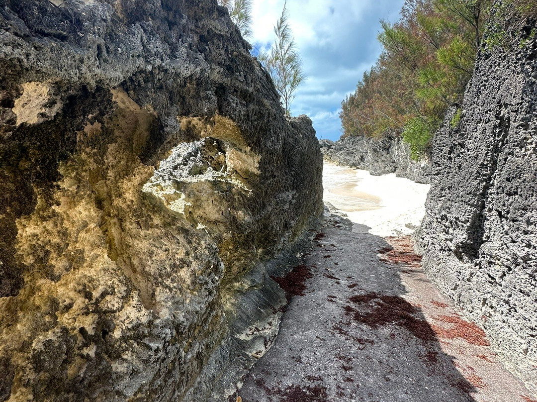 West Whale Bay Beach-南安普敦必去景点