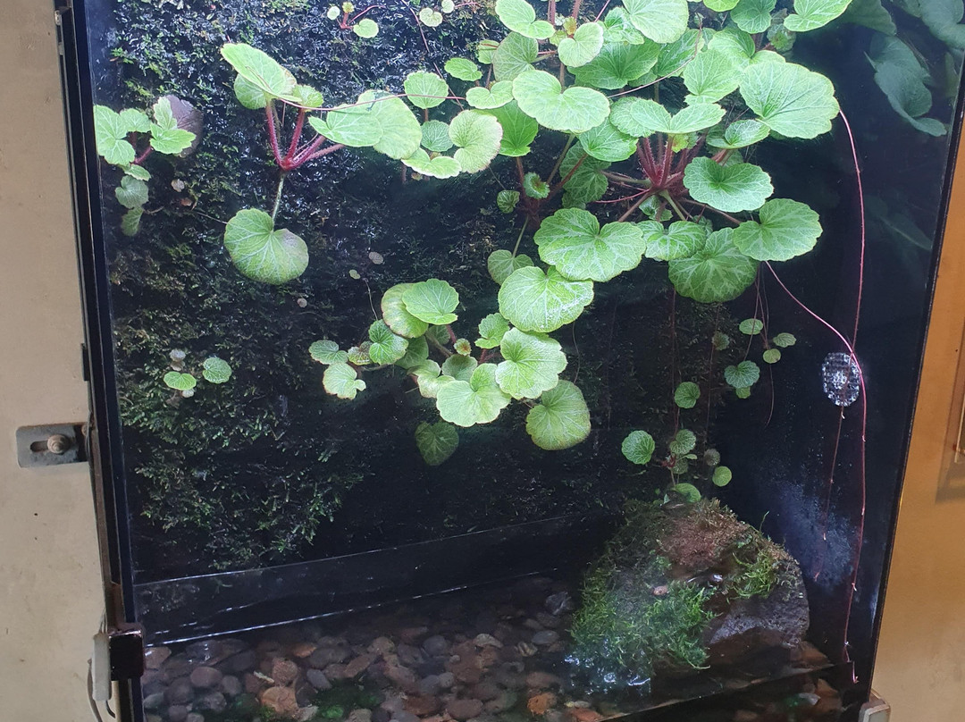 福岛水族馆-盘城市必去景点