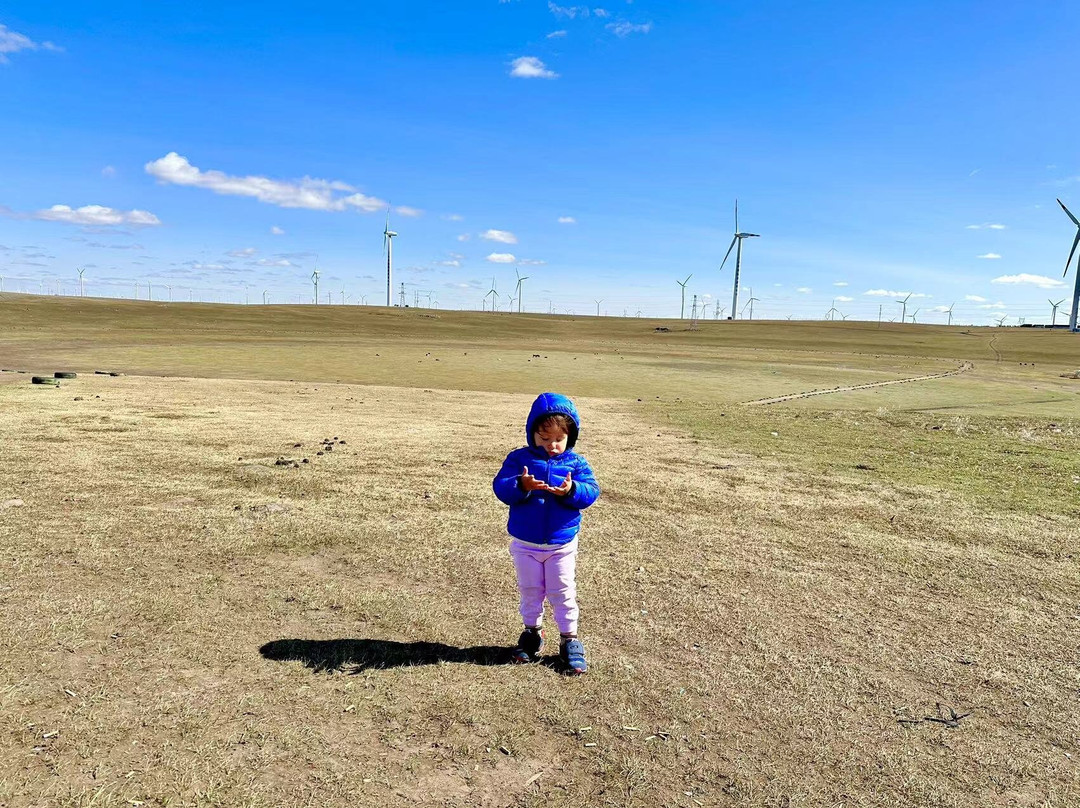 乌兰察布草原-乌兰察布市必去景点