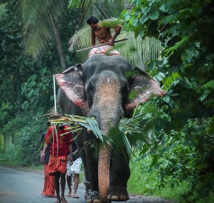 India Custom Tours-新德里必去景点