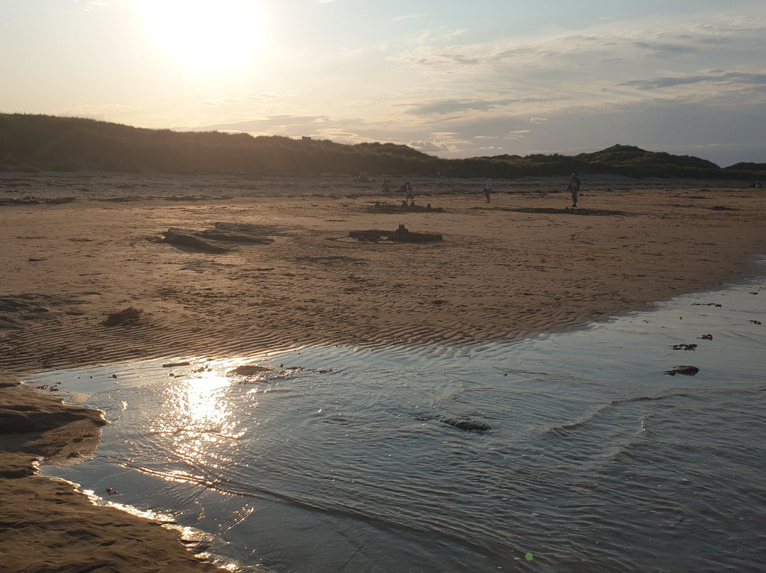 The Olde Ship Inn主图