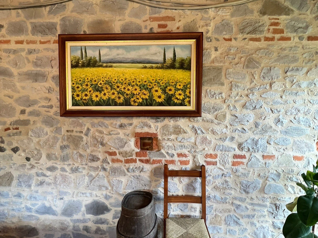 Azienda Agricola Semboloni Fabio景点图片