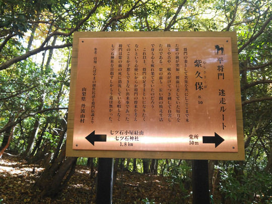 Mt. Kumotori-奥多摩町必去景点