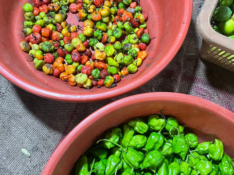 Ella Taxi LK-埃勒必去景点