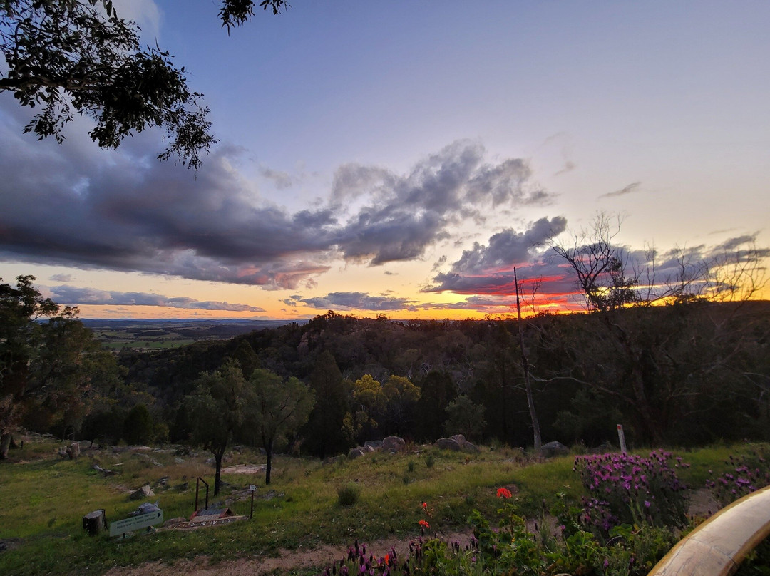 Ruwenzori Retreat主图