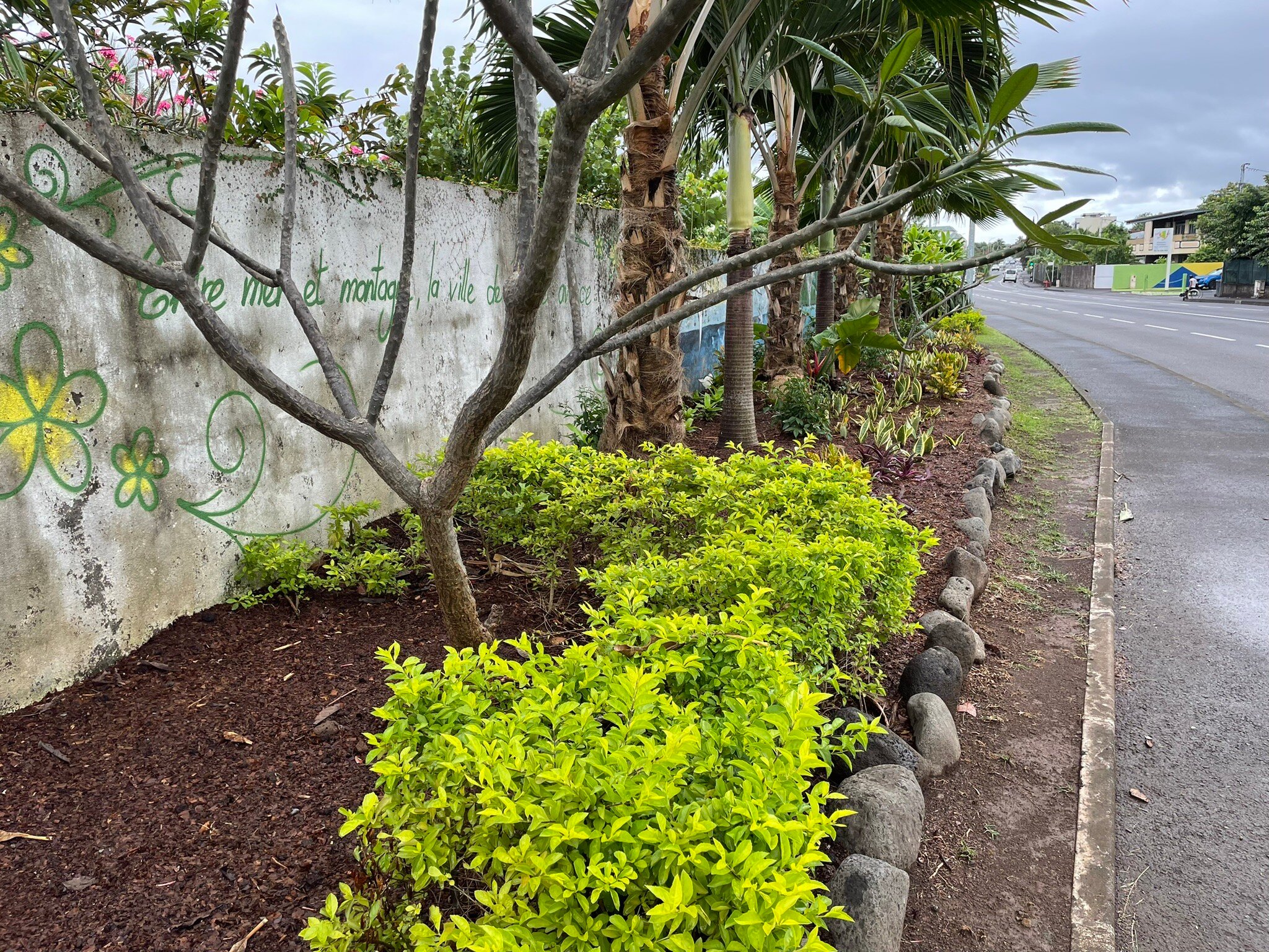 Pension Pare Lodge-官方