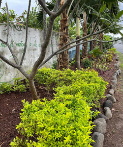 Pension Pare Lodge酒店图片