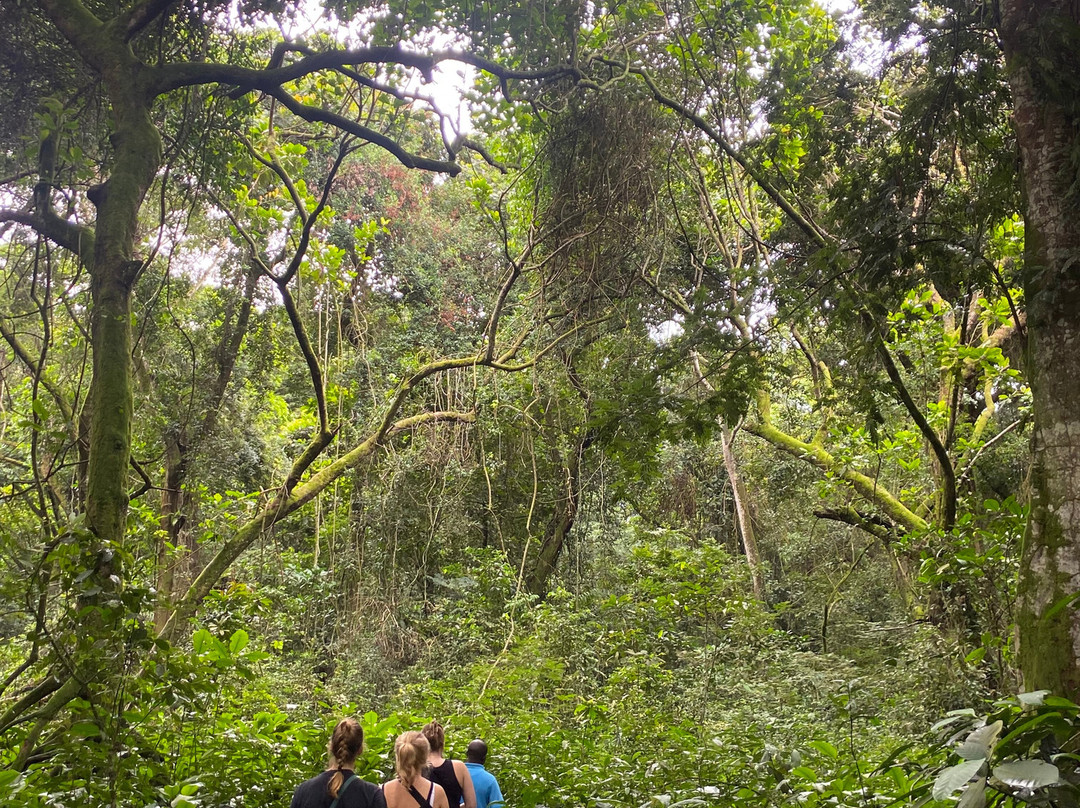菲洛休闲花园酒店主图