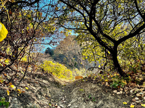 @greatwallmylove-北京市必去景点