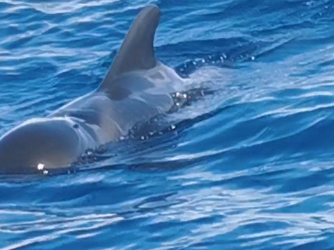 Los Rapidos-洛斯·吉甘特斯必去景点