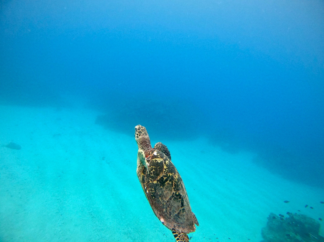 Marine House Seasir Naha-那霸市必去景点